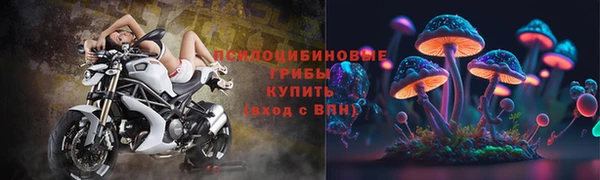 молекула духа Алексеевка