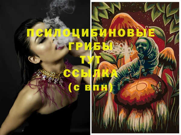 дмт Новокубанск