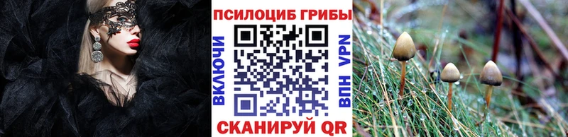 Псилоцибиновые грибы GOLDEN TEACHER  Анапа 